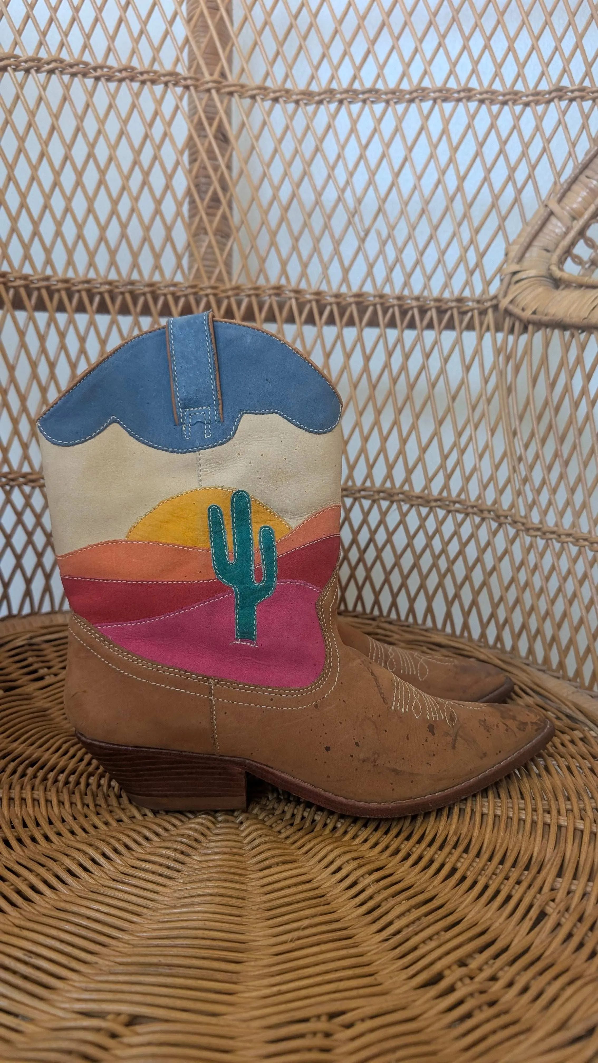 Adidas Terrex Swift R2 Gore-tex Hiking Shoe 1980s cactus cowboy boots