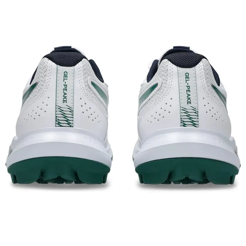 ASICS GEL-Peake 3 Adults Cricket Shoes Asics Gt-2000 12 Running Shoe