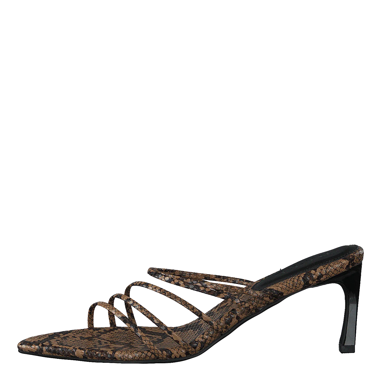 Strappy Pointy Sandals Snake Spooky Slippers