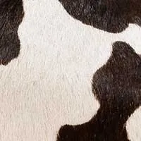 The Saba Cycling Shoe Covers For Flat Pedals